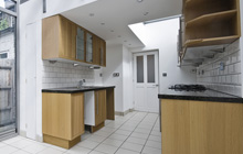 Clapham Green kitchen extension leads